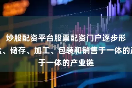 炒股配资平台股票配资门户逐步形成采盐、储存、加工、包装和销售于一体的产业链